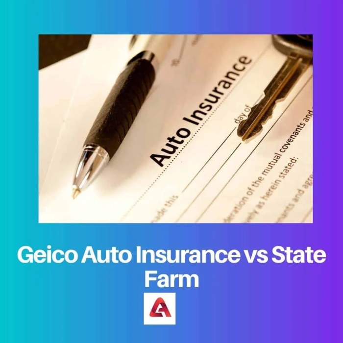 Geico Auto Insurance vs State Farm: Difference and Comparison